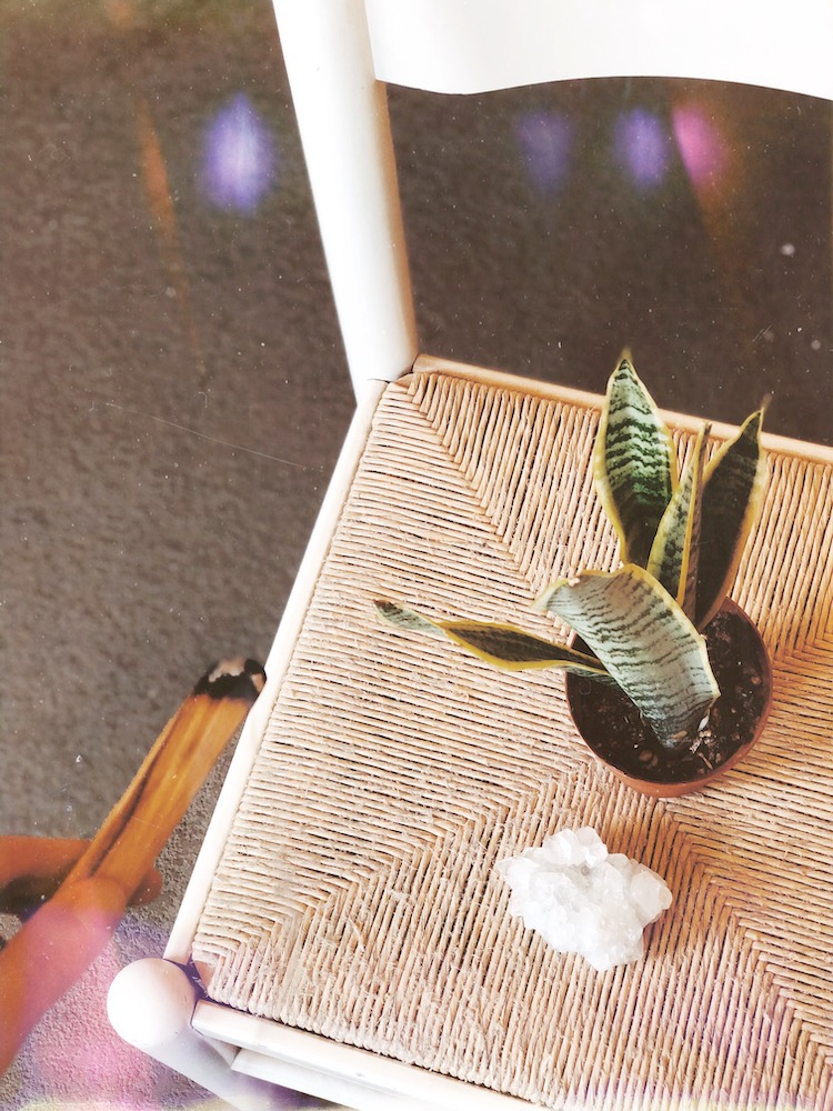 cleansing ceremony with palo santo