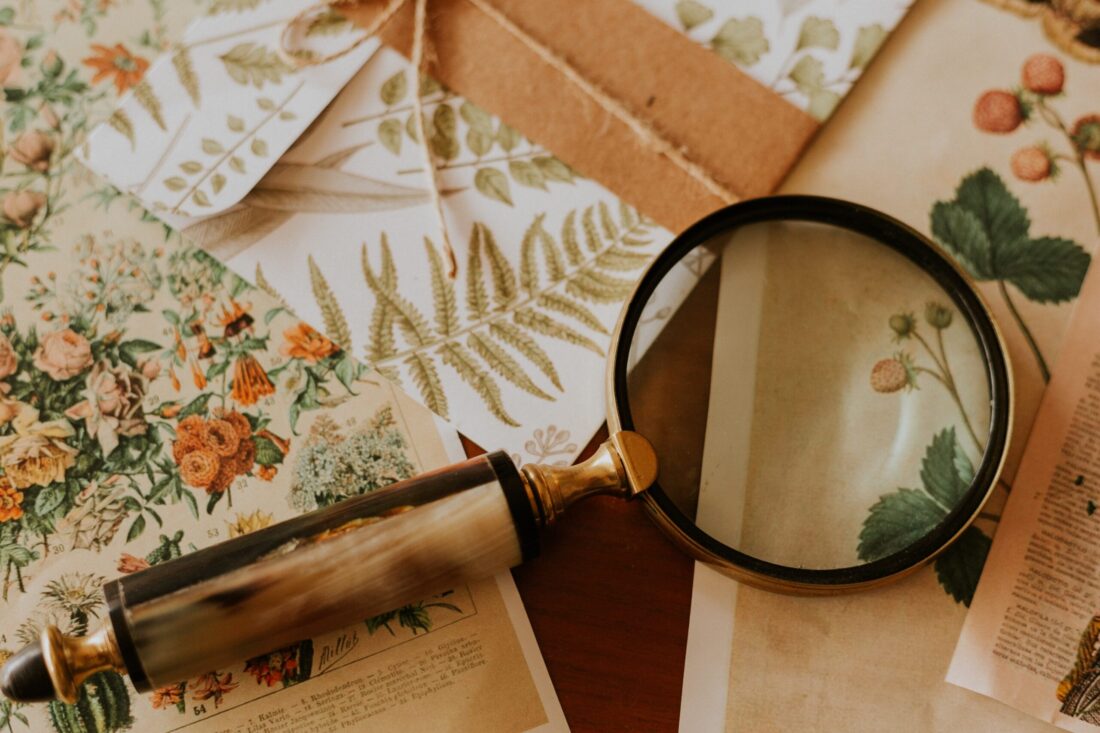 magnifying glass and vintage floral letters